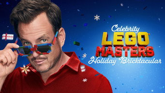 #17 Lego Masters