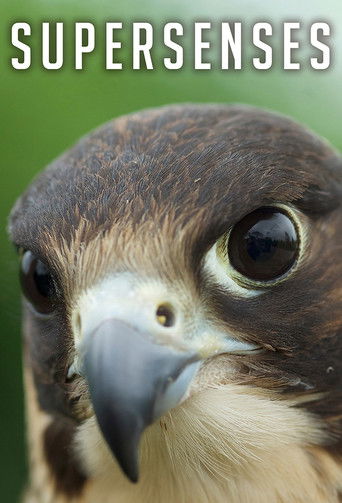 Supersenses background