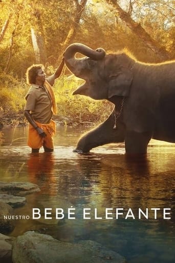 Nuestro bebé elefante Nuestro bebé elefante