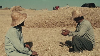 Escena 4 de Golden Parable