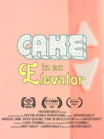 Cake in an Elevator poster
