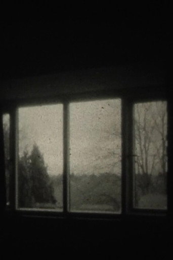 My Window