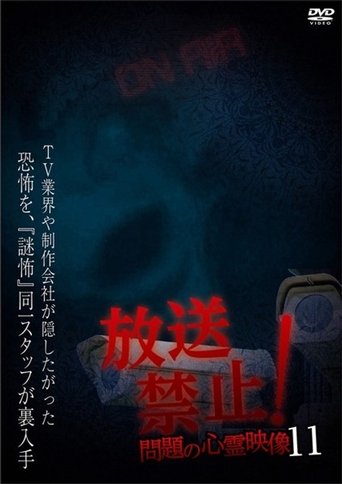 Broadcast Prohibited! Troubling Supernatural Footage 11 (2019)