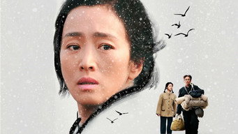 Galeria 4 - Regreso A Casa