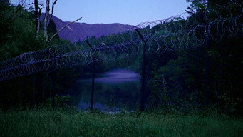 #23 The Wire