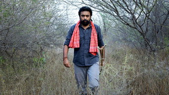 #4 Kidaari