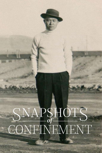 Snapshots of Confinement