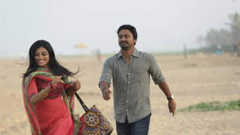 #7 Pandigai