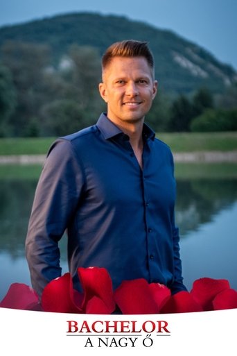 Poster for The Bachelor (GR)