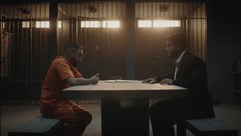 #6 The Lawyer's Return