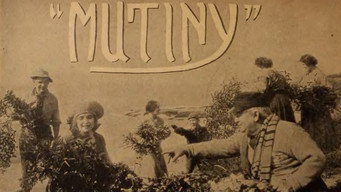 Mutiny media image