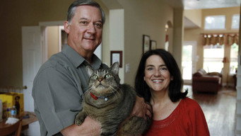 Flabby Tabby and Chunky Chihuahua