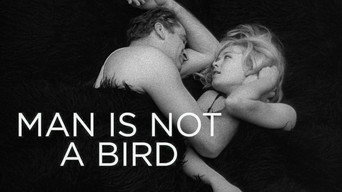#7 Man Is Not a Bird