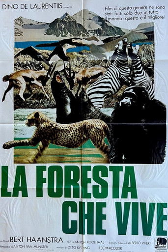 La foresta che vive