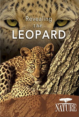 Revealing the Leopard poster