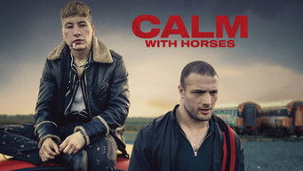 Galeria 3 - Mantén la calma