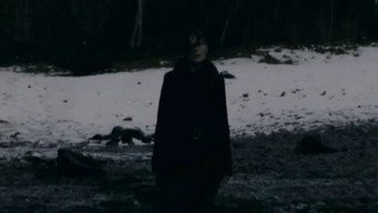 Озеро (2008)