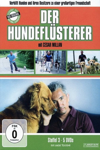 Staffel 3