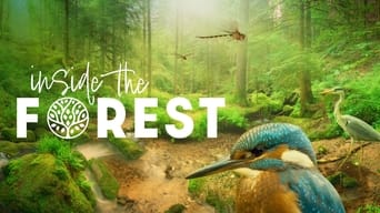 Inside the Forest Seasons of Wonder - 1x01