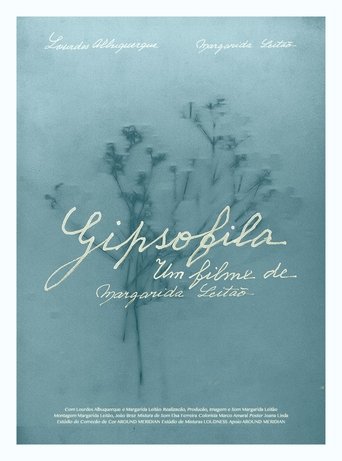 Gypsophila