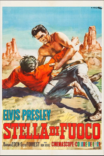 Poster 8