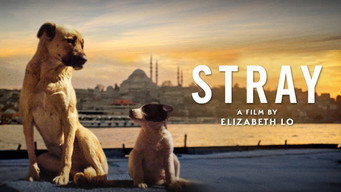 #9 Stray