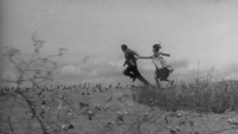 #6 Три кохання