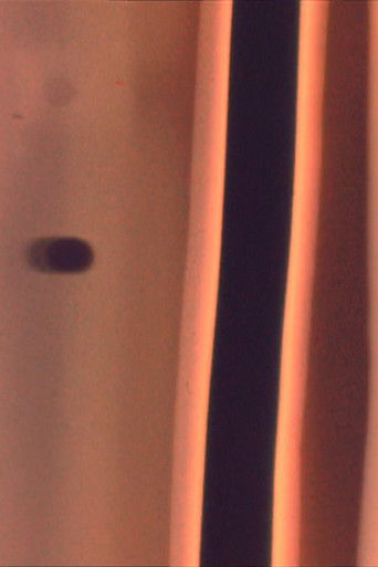 Music For Voices poster