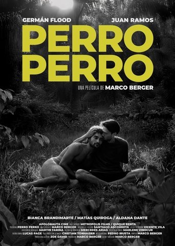 Perro perro