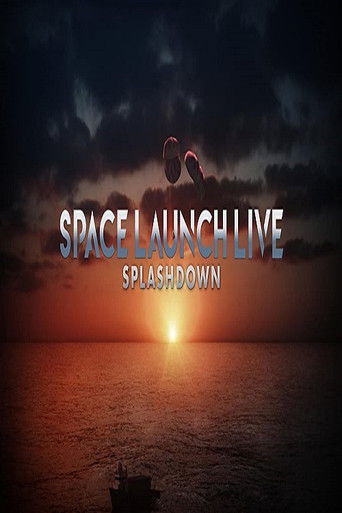 Space Launch Live: Splashdown poster