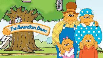 The Berenstain Bears (2003-2004)