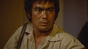 Karate Bullfighter (1977)
