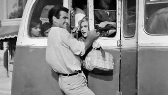 #13 The Trip