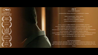 Pet media image