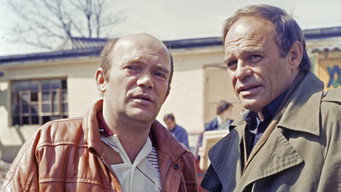 Private investigation (1987)