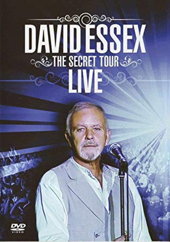 David Essex: The Secret Tour poster