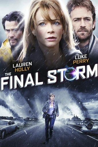 poster The Final Storm