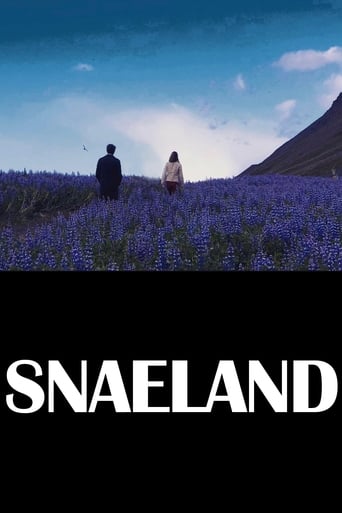 Poster of Snaeland