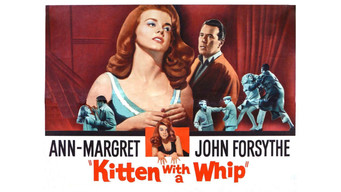 #9 Kitten with a Whip