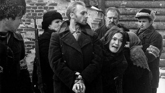 #22 Сходження