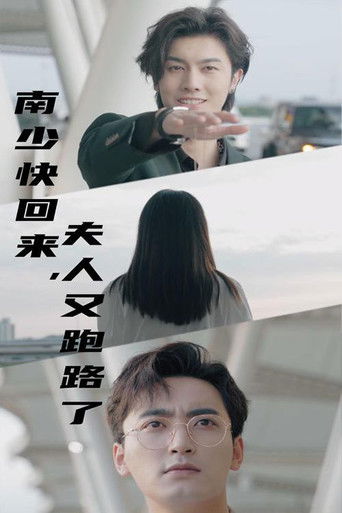 南少快回来，夫人又跑路了 poster