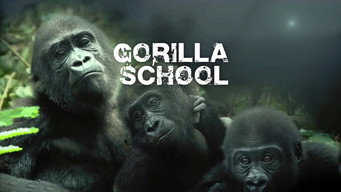 Gorilla School (2010)