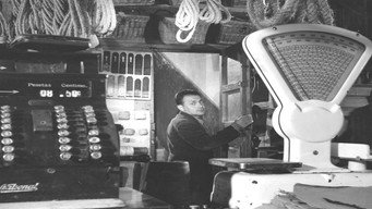 El fotogénico (1958)