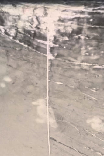 Harappa Loop