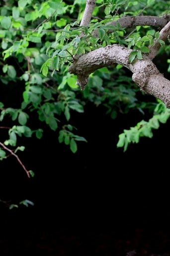 Be water, be light poster