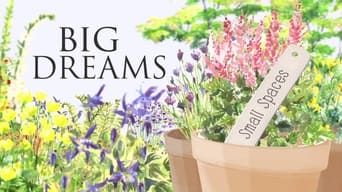 Big Dreams Small Spaces (2014-2017)