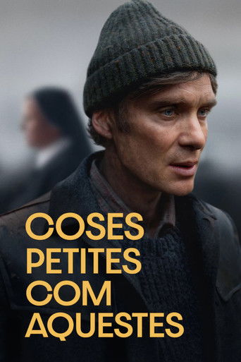 Cartell de Coses petites com aquestes