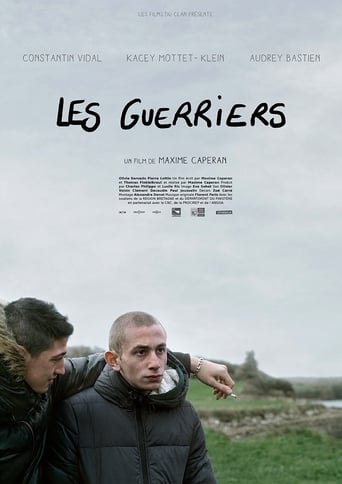 Poster of Les guerriers