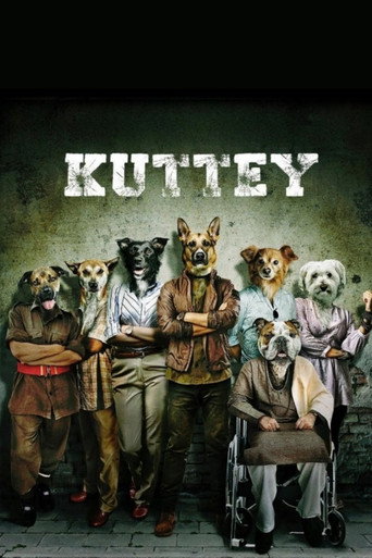 Kuttey