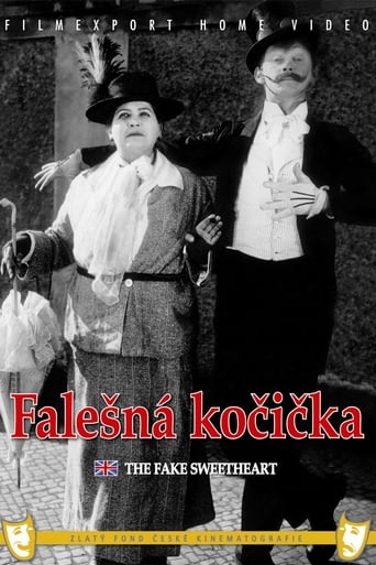 Poster of Falešná kočička